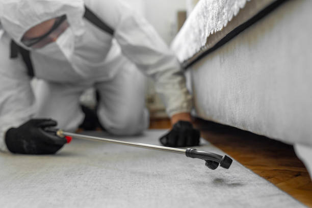 Professional Bed Bug Control technician working in Cumberland Center, ME