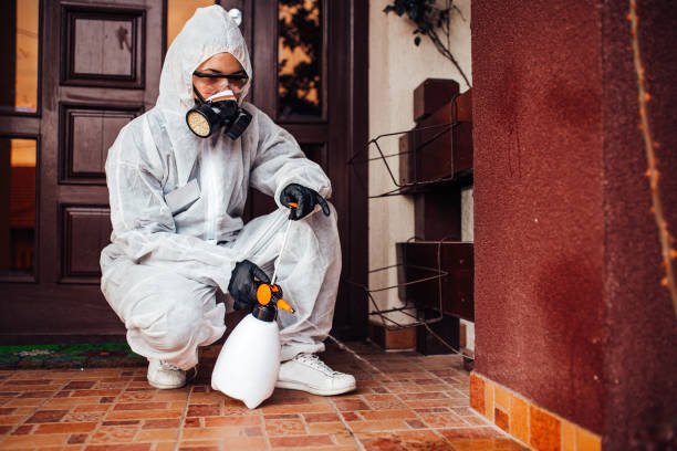 Reliable Bed Bug Control contractor in Cumberland Center, ME by Nex Pest Control