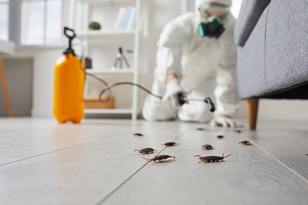 Trusted Fumigation Services service in Cumberland Center, ME - Nex Pest Control