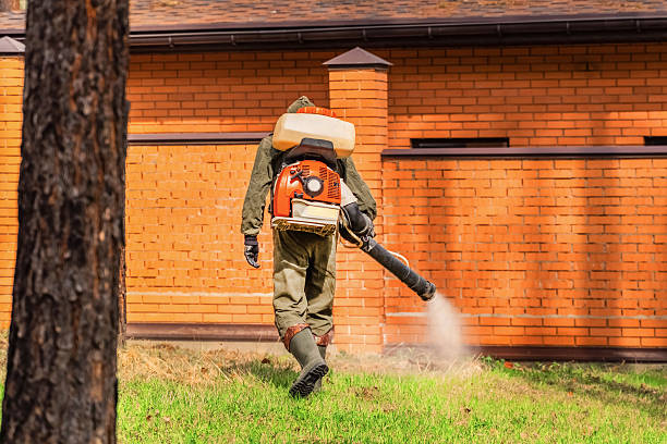 Trusted Bed Bug Control service in Cumberland Center, ME - Nex Pest Control